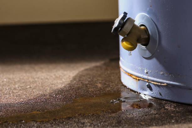 Best Carpet water damage restoration  in Seaside Park, NJ