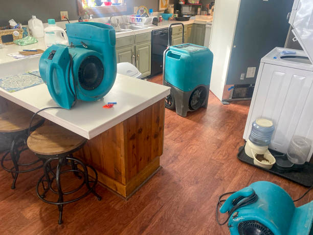 Best Mold removal after water damage  in Seaside Park, NJ