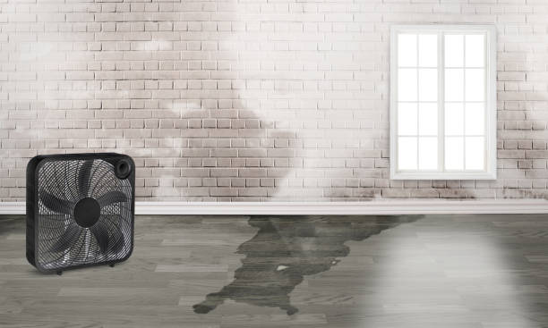 Best Commercial water damage restoration  in Seaside Park, NJ