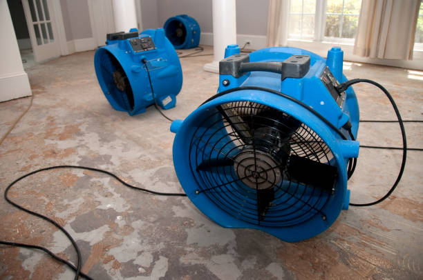 Best 24-hour water damage restoration  in Seaside Park, NJ