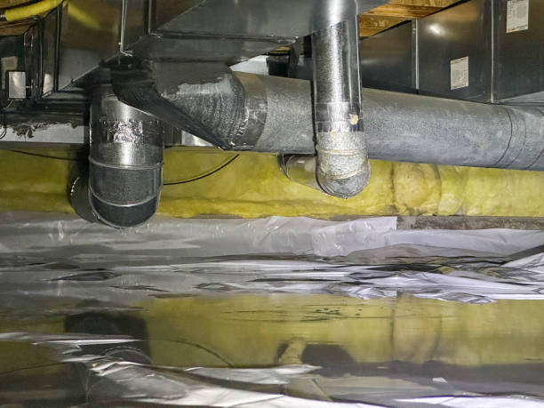Best Professional water damage repair  in Seaside Park, NJ