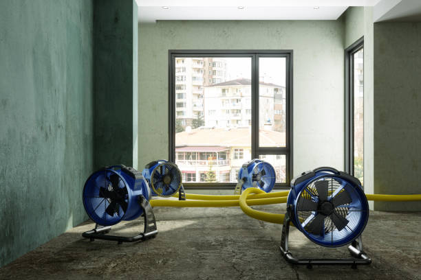 Best Water damage restoration near me  in Seaside Park, NJ