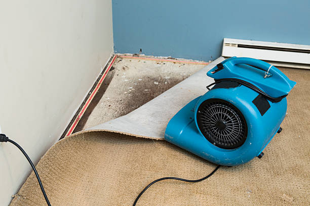 24/7 water damage repair in NJ